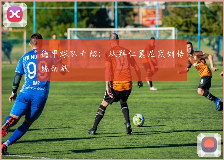 德甲球队介绍：从拜仁慕尼黑到传统劲旅